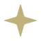 Bermia star icon gold